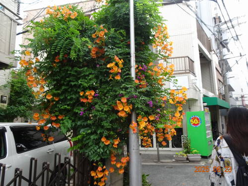 DSC08662