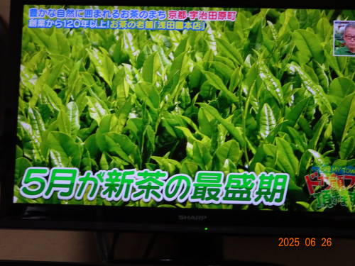 DSC09100