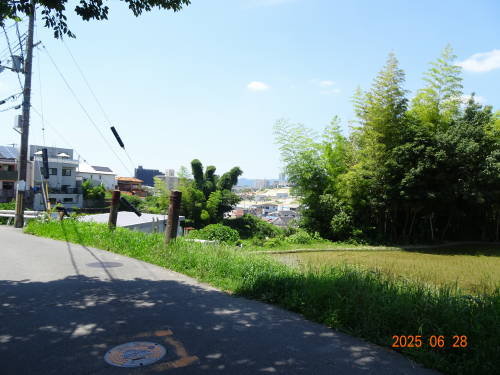 DSC09321