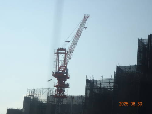 DSC09854