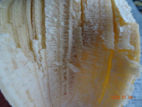 DSC00140
