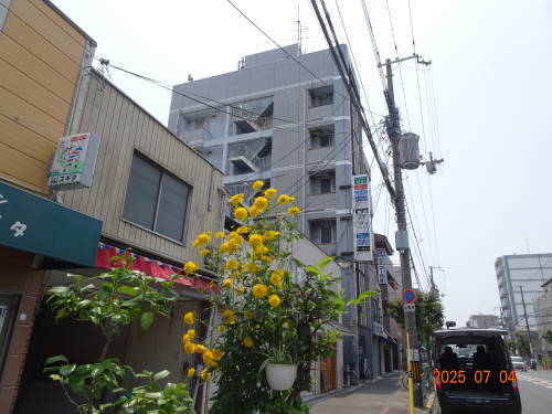 DSC00156