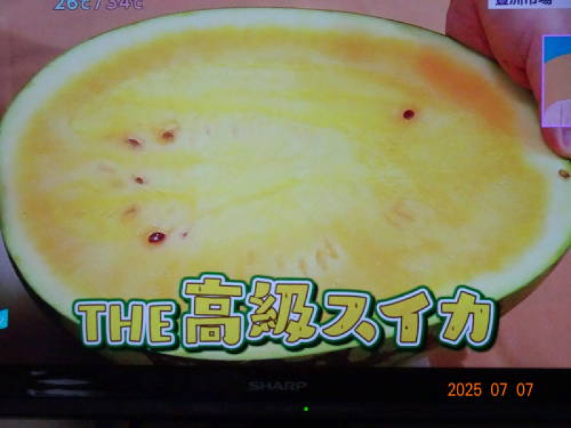 DSC09955