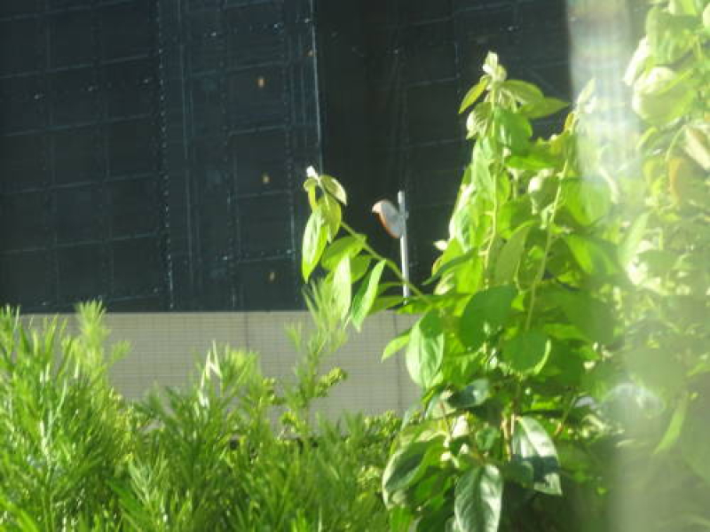 DSC00014
