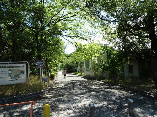 DSC00410
