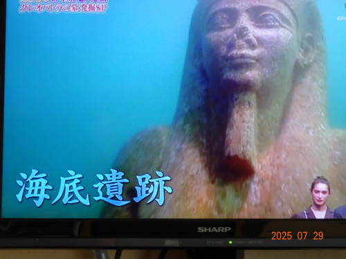 DSC03215