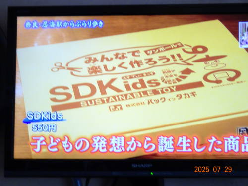 DSC03224