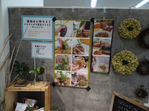DSC05081