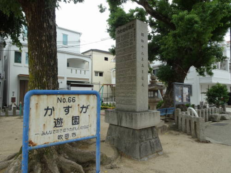 DSC08055