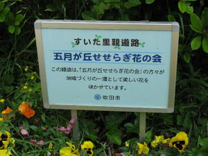 X1img_4217