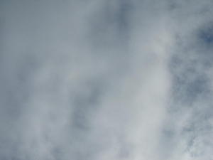 Img_5131