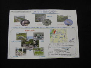 15img_3901