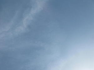 Img_8247