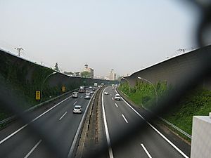 Img_1901_2